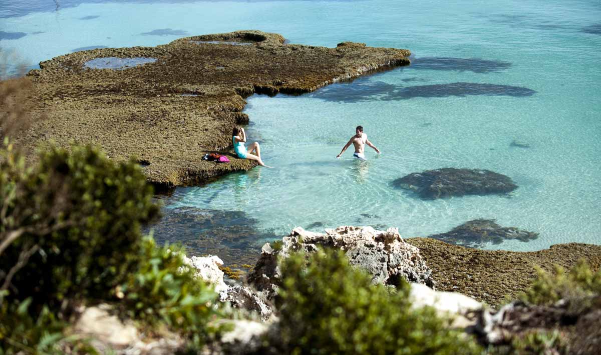 Swimming at Vivonne Bay Beach, Kangaroo Island, SA - Australia Wildlife