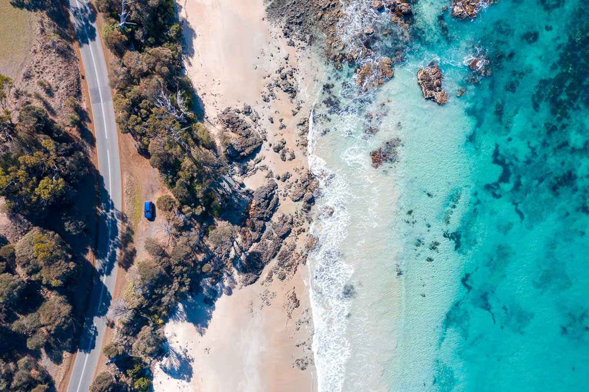 Tasmania Coastal Drive - Australia Wildlife