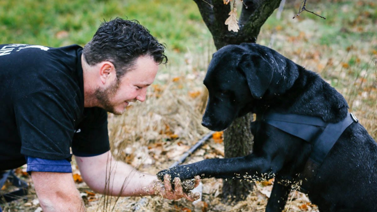 The Truffle Farm Canberra - Australia Capital Territory