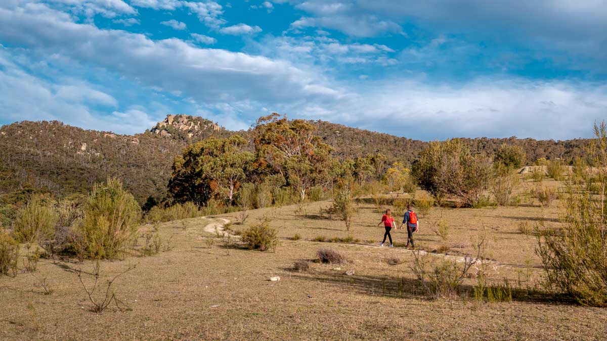 Tidbinbilla Nature Reserve trail walk - Australia Wildlife