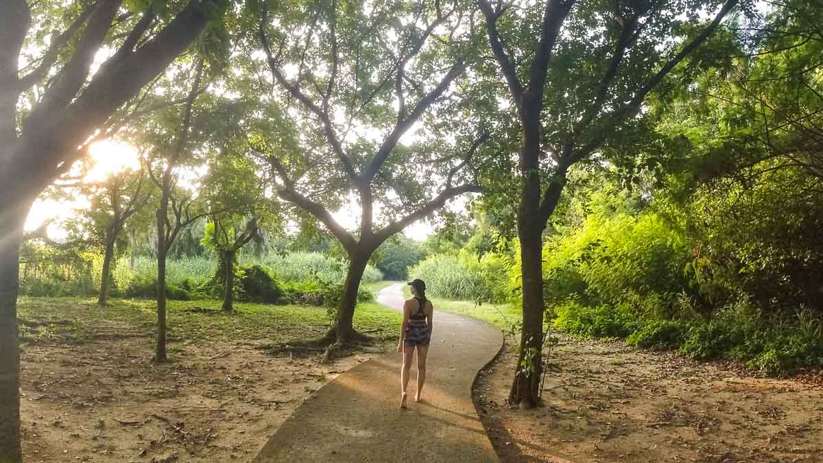 Trail toward St John's Island - Lazarus Island