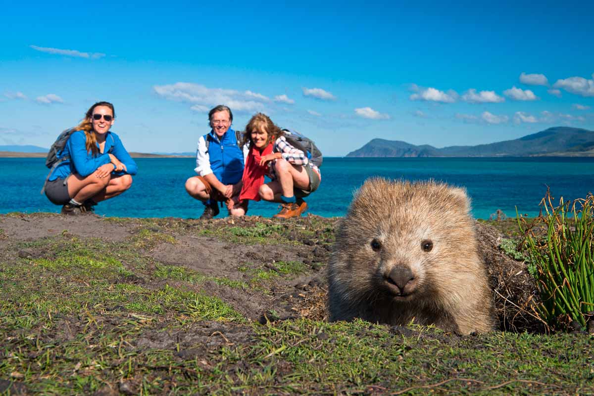 Wombat encounter selfie on Maria Island TAS - Unique Australia Wildlife
