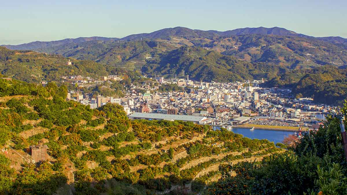 Ehime-Mikan-and-the-City-Ehime-Japan