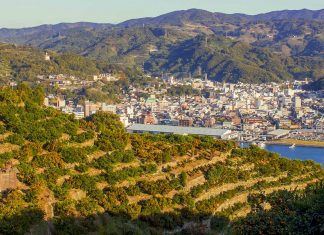 Featured Ehime Mikan Orchards - Ehime Japan