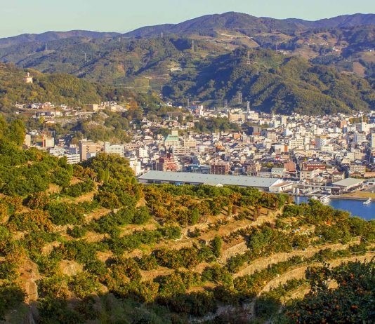 Ehime Prefecture — 9 Reasons to Visit This Lesser-known Gem in Japan Featured Ehime Mikan Orchards - Ehime Japan