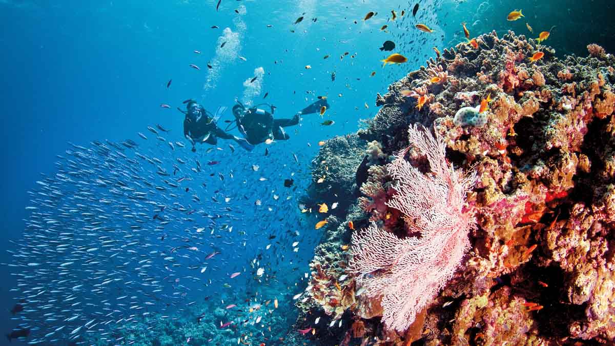 Scuba Diving in the Great Barrier Reef - Best places to visit in Australia