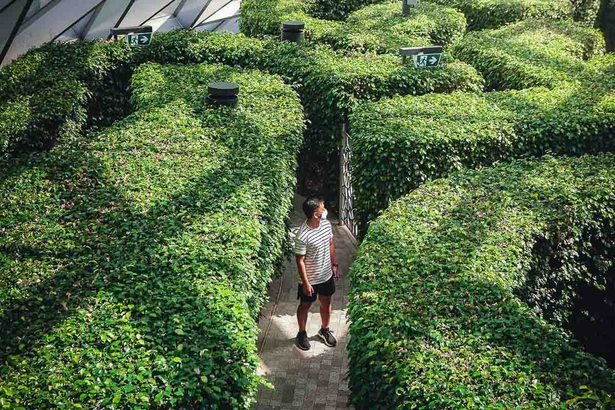 Changi Jewel Airport Hedge Maze - Things to Do in Singapore