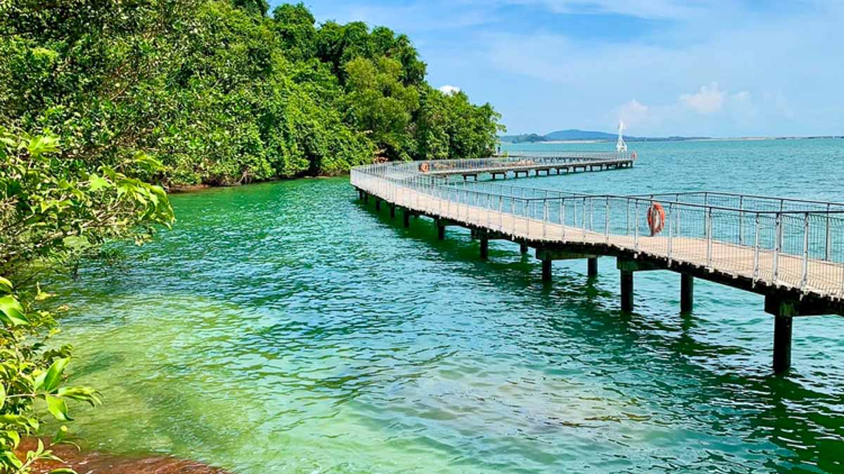 Chek Jawa - Things to do in Singapore