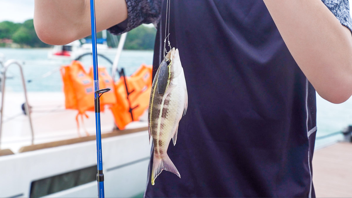 Fishing at Lazarus Island