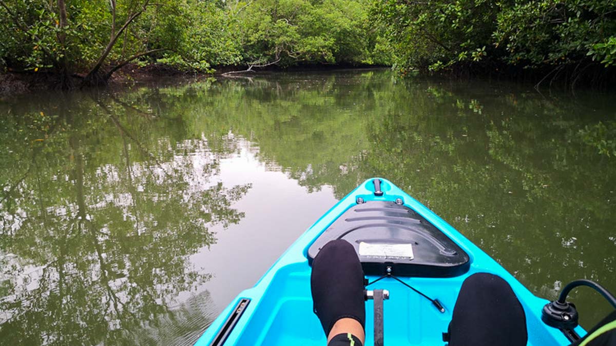 Leg Paddling Seletar Mangroves - Between Singapore's islands