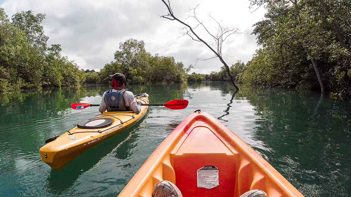 Nature Kayaking at Pulau Ubin Mangroves - Things to Do in Singapore