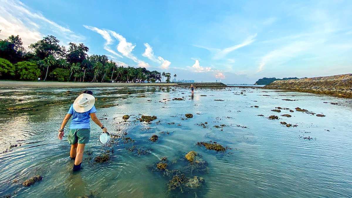 Sisters' Island Low Tide - Between Singapore's Islands