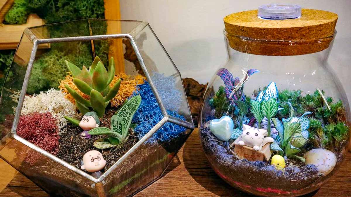 Terrarium Workshop - Singapore guide for locals