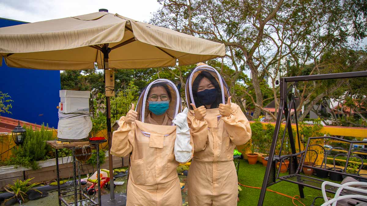 The Sundowner Beekeeping - Singapore Outdoor activities
