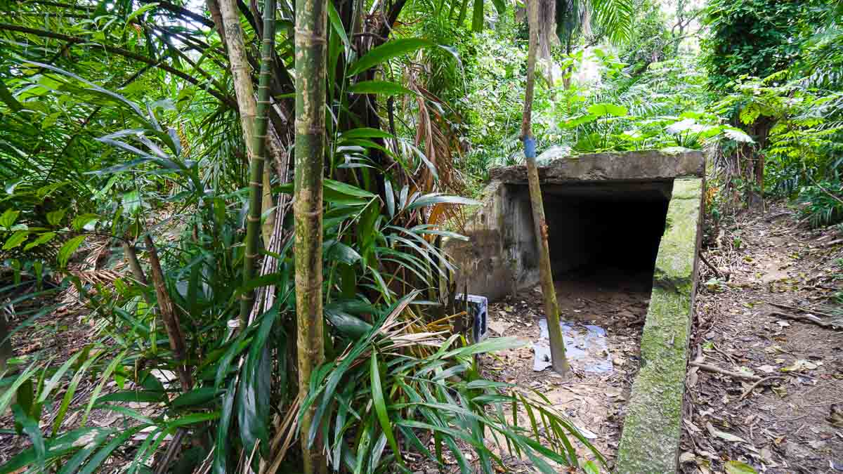 bunker tour singapore