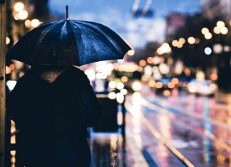 10 Unique Things to do in Singapore on a Rainy Day