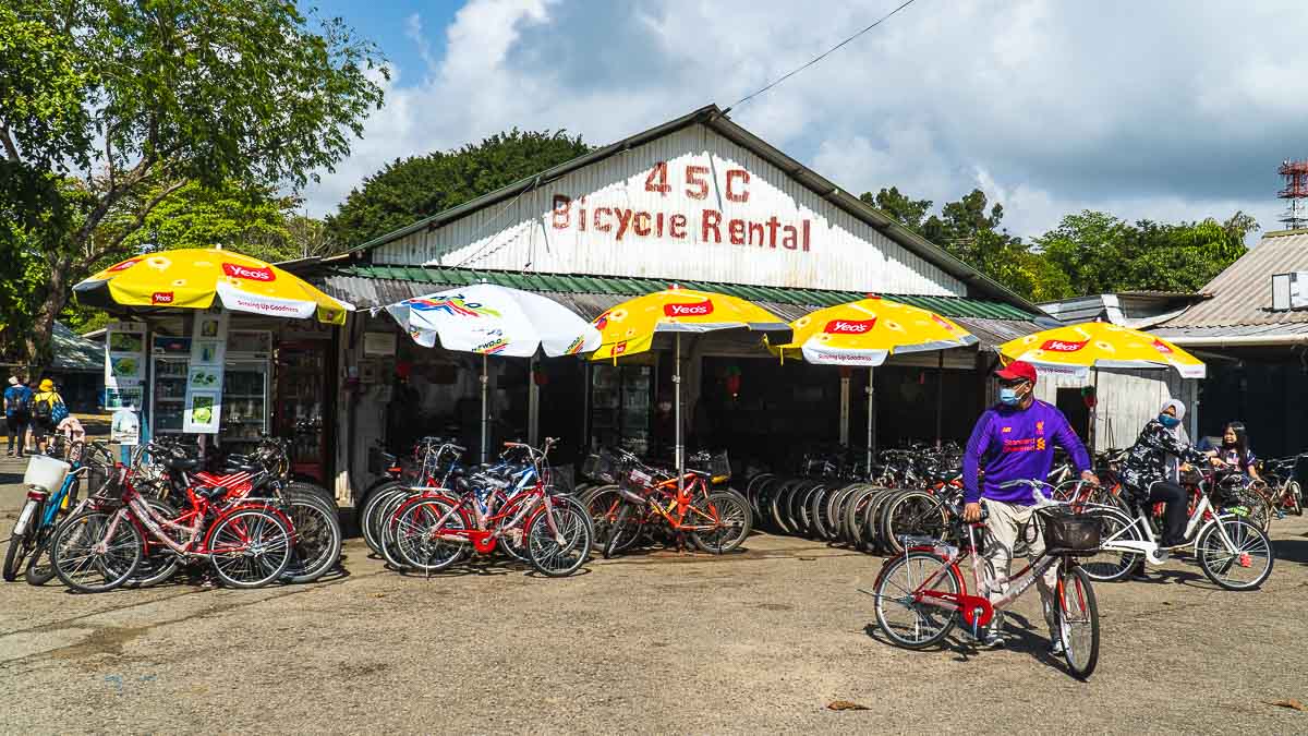 Pulau Ubin Bicycle Rental Shop - Pulau Ubin
