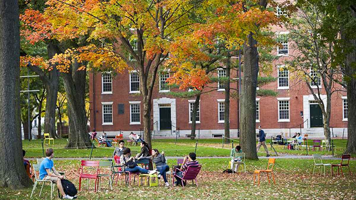 Students in the Harvard Yard - Student exchange