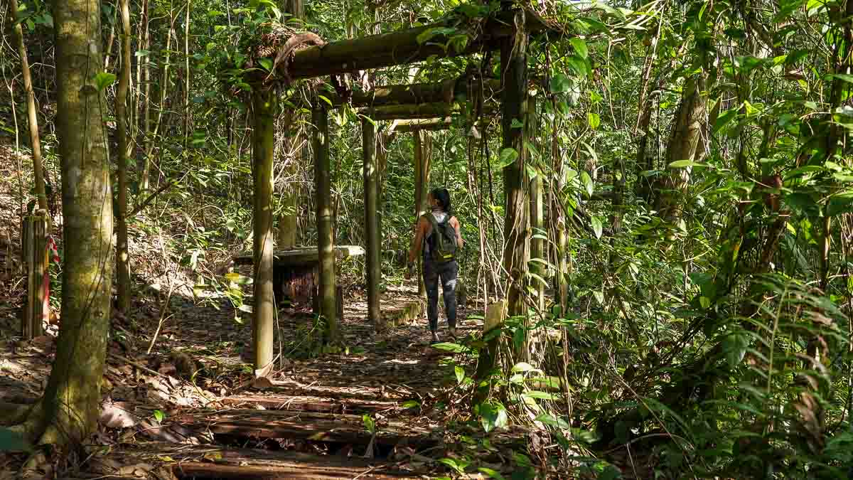 Torii Gates in Singapore Bukit Batok Hillside Park - Abandoned Places 