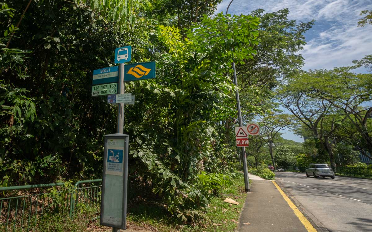 Bus stop nearest to Thomson Nature Park's Main Entrance