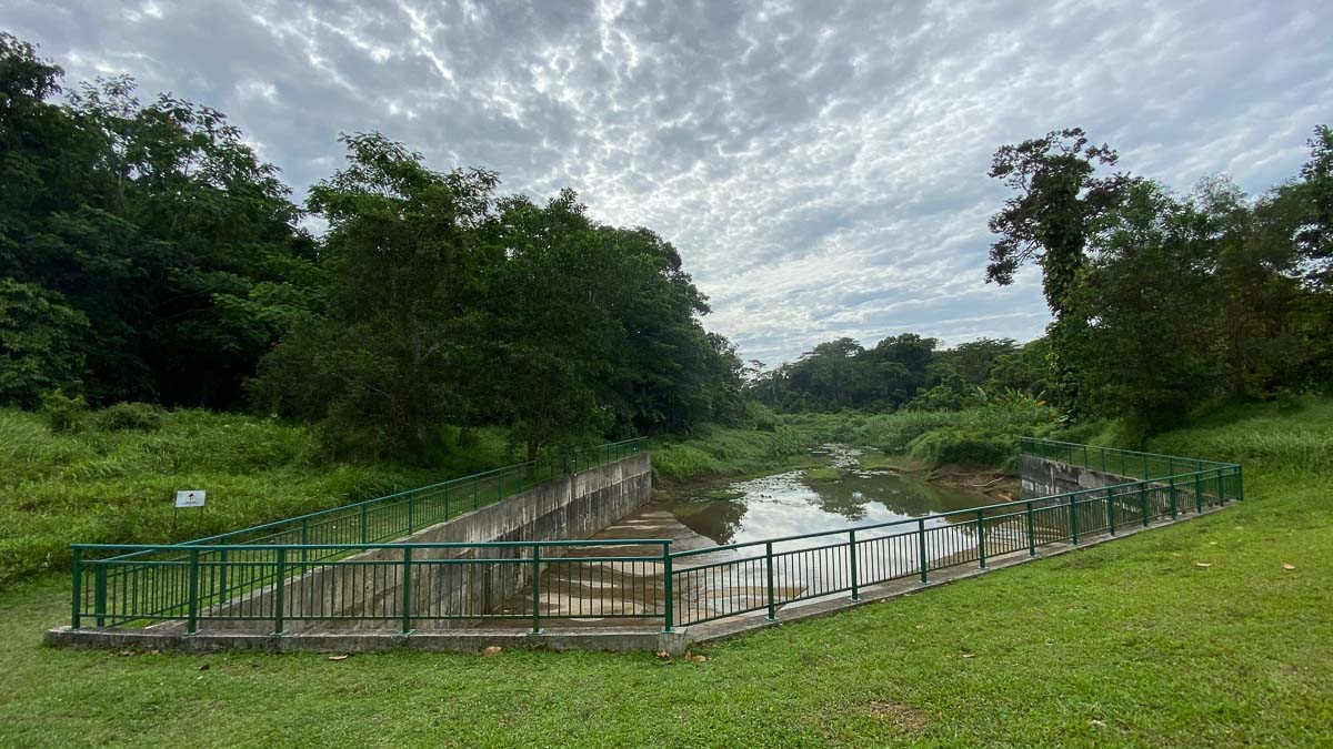 Canal starting point of Clementi Forest