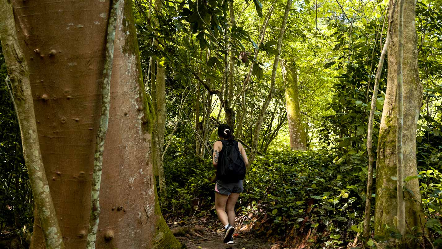 Hiking in Chestnut Nature Park