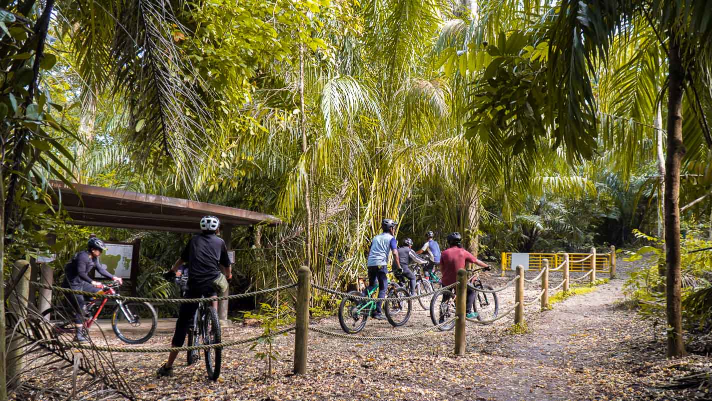 Biking Trail - Chestnut Nature Park