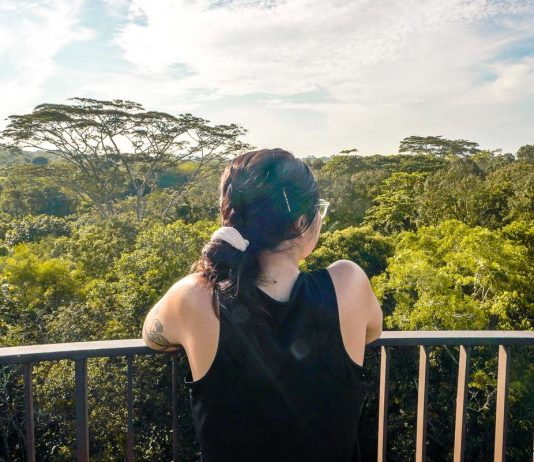 Hiking Chestnut Nature Park — Bicycle Pump Tracks and Rare Bird Sightings
