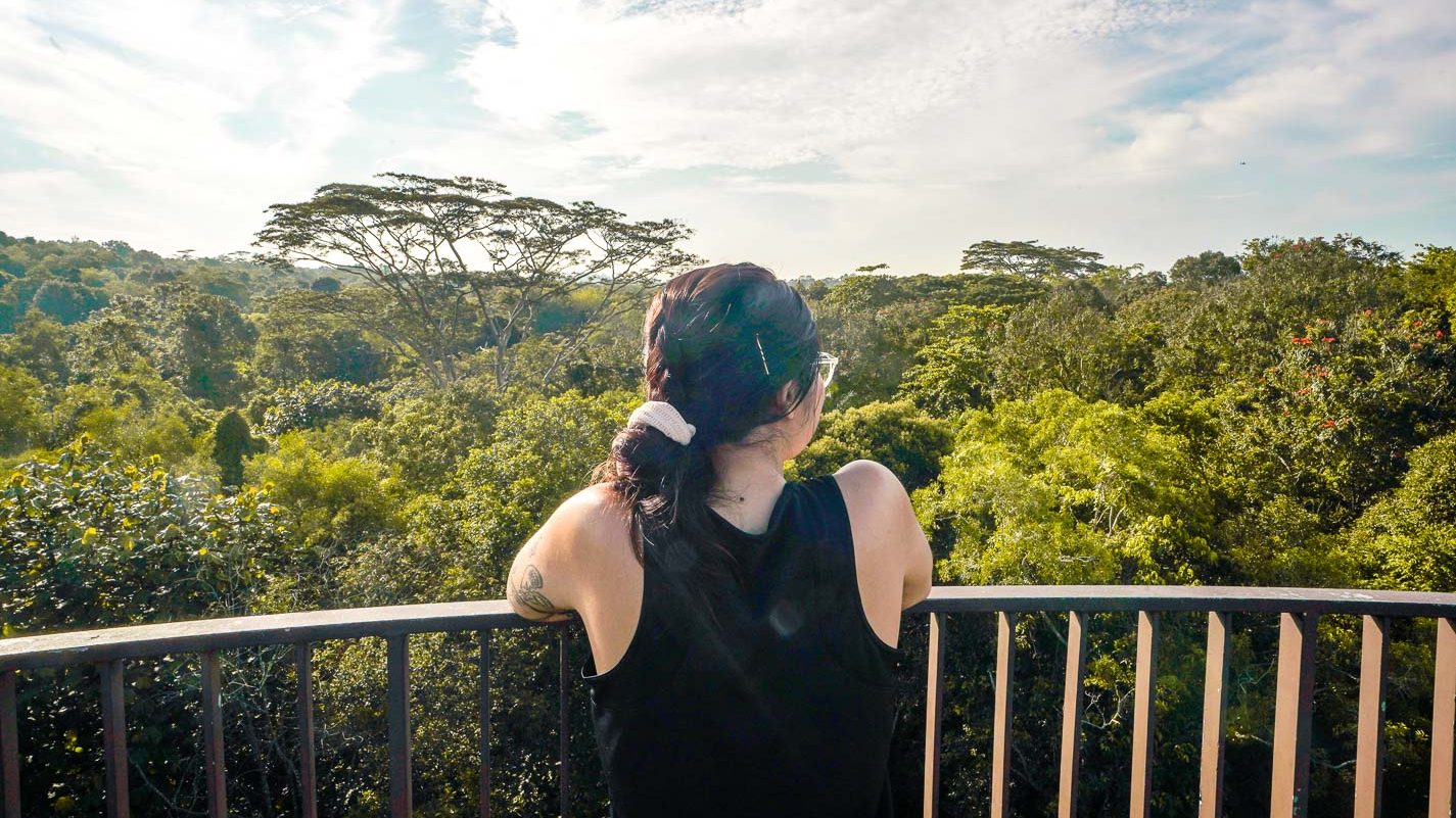 Girl Overlooking The Scenic Nature - Chestnut Nature Park