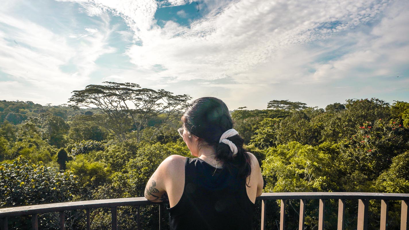 Chestnut Observation Tower - Chestnut Nature Park