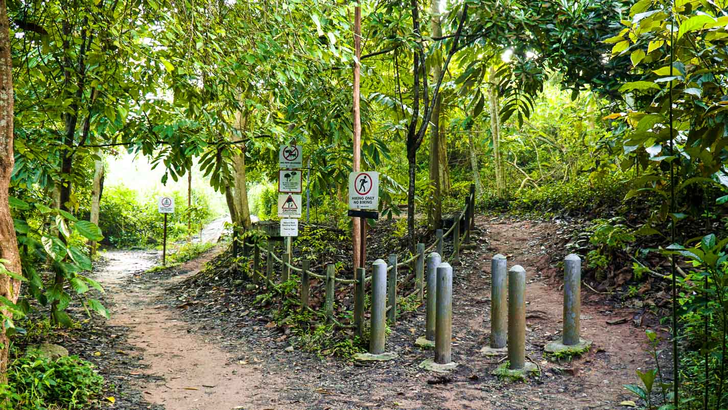 Starting Point for Hikers - Chestnut Nature Park