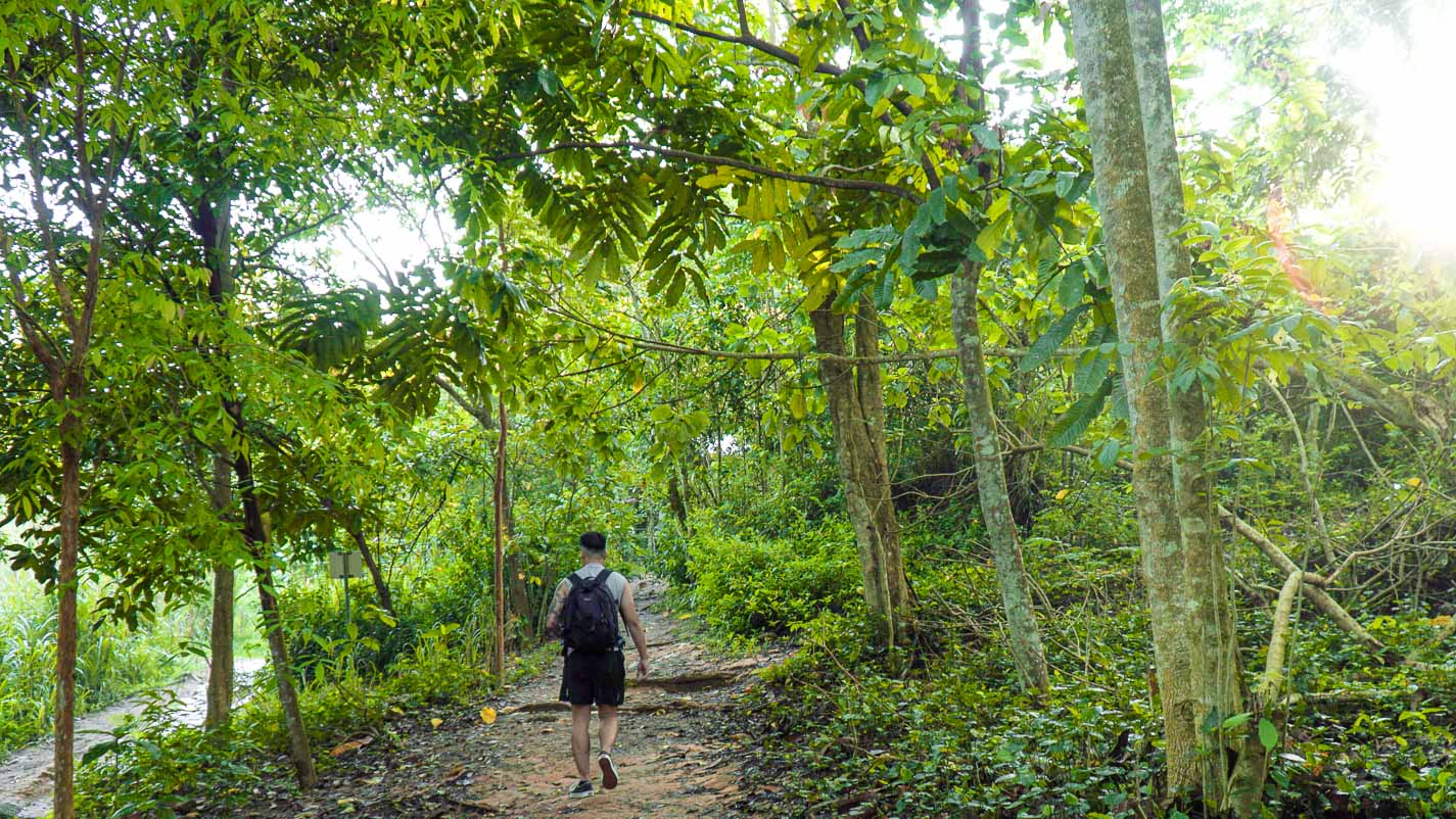 Man Hiking Trail - Chestnut Nature Park