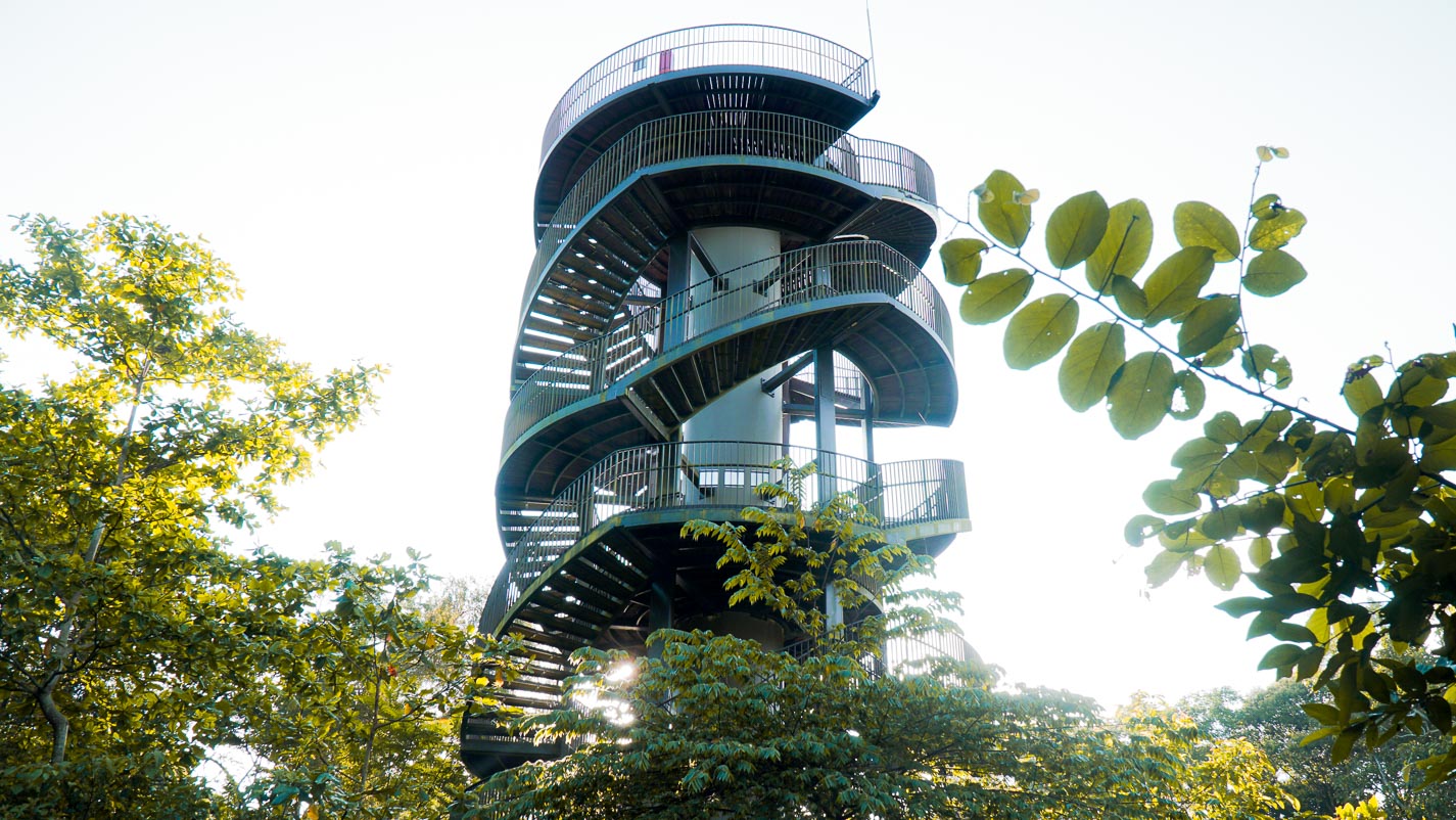 Observation Tower - Chestnut Nature Park