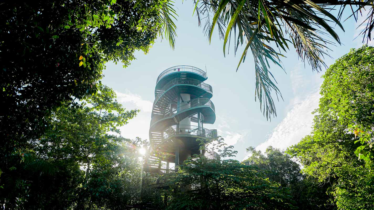Observation Tower - Chestnut Nature Park