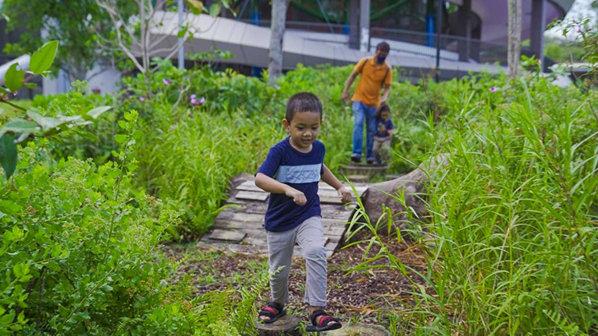 Coastal Playgrove Nature Playgarden - Things to do in Singapore