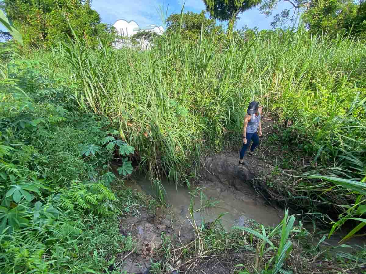 Crossing river streams