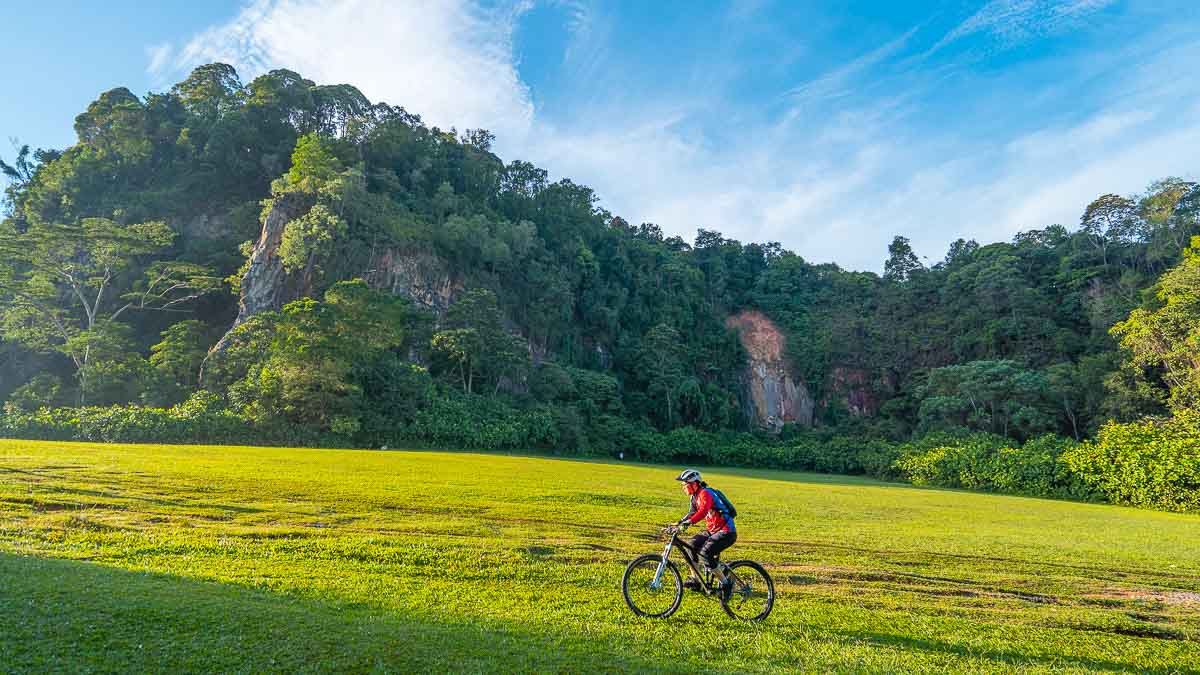 Cyclist at Dairy Park Nature Farm - Dairy Farm Nature Park