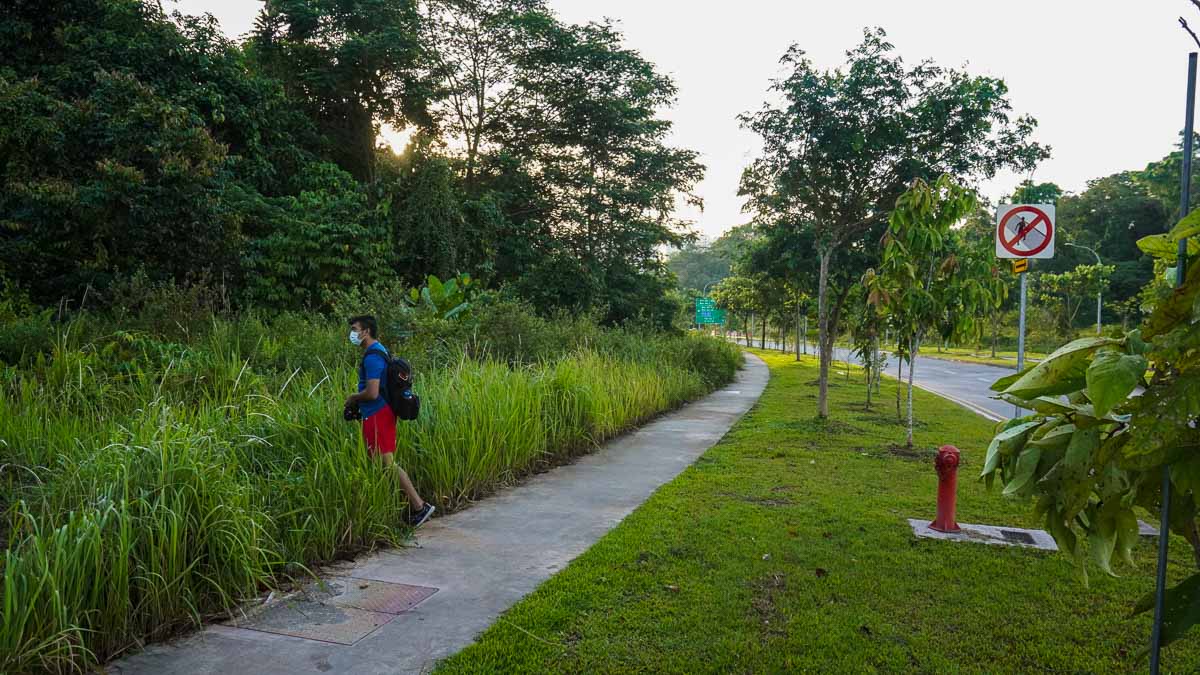 Entrance to Bukit Batok Hillside Park Along Avenue 5 - Hiking in Singapore