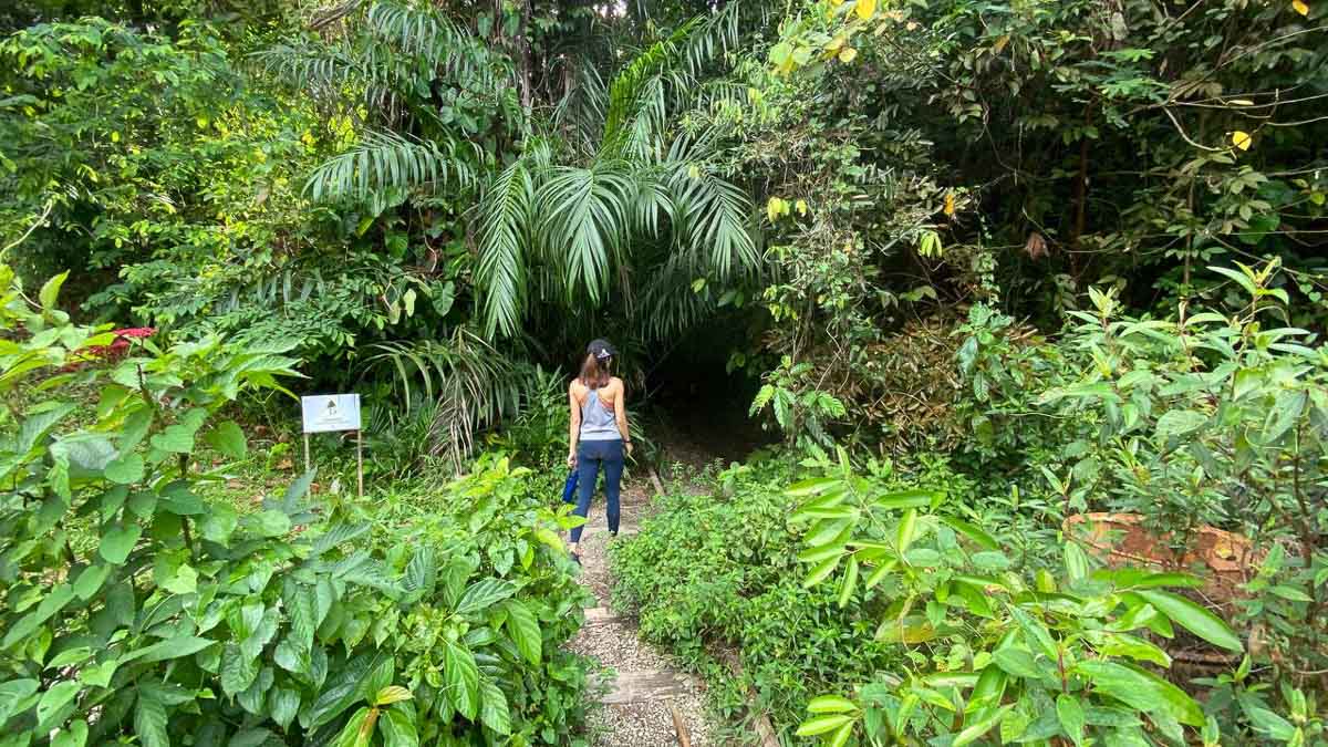 Entrance into the railway tracks - Clementi Forest Hike