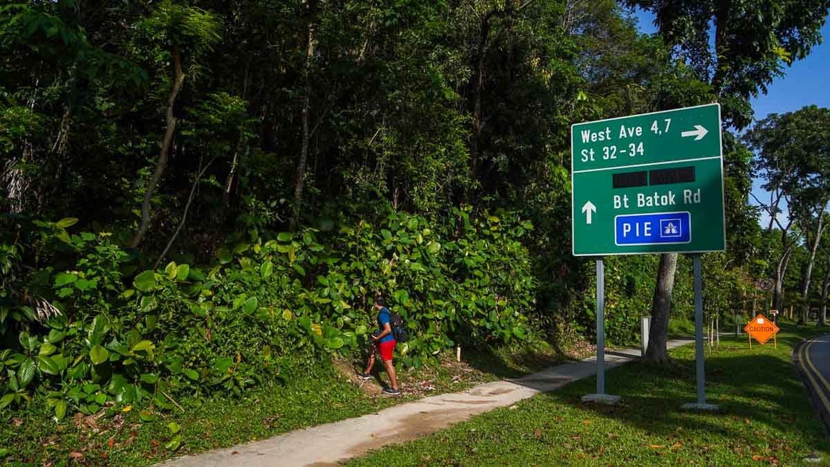 Entrance Along Avenue 2 - Hiking in Singapore