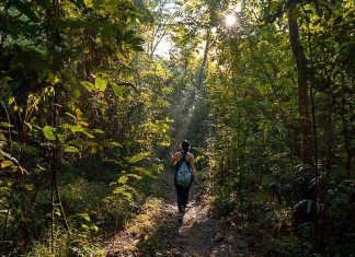FEATURED - Dairy Farm Nature Park