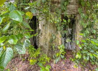Thomson Nature Park Guide