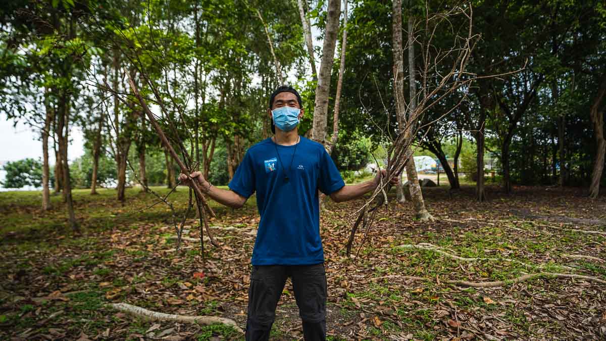 Foraging for Firewood Outdoor Camping - Pulau Ubin Camping