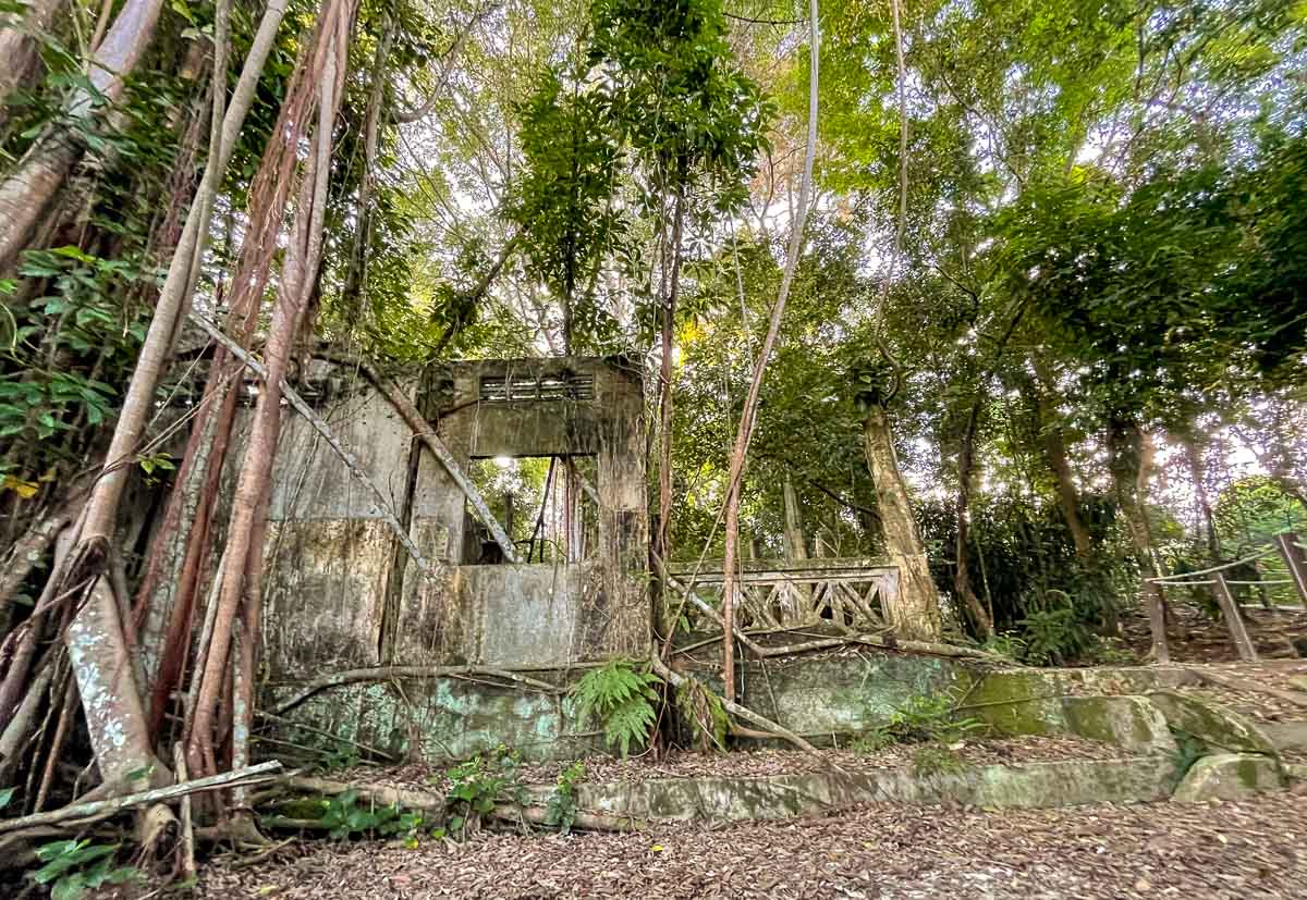 Former Hainan Ruins at Thomson Nature Park-8
