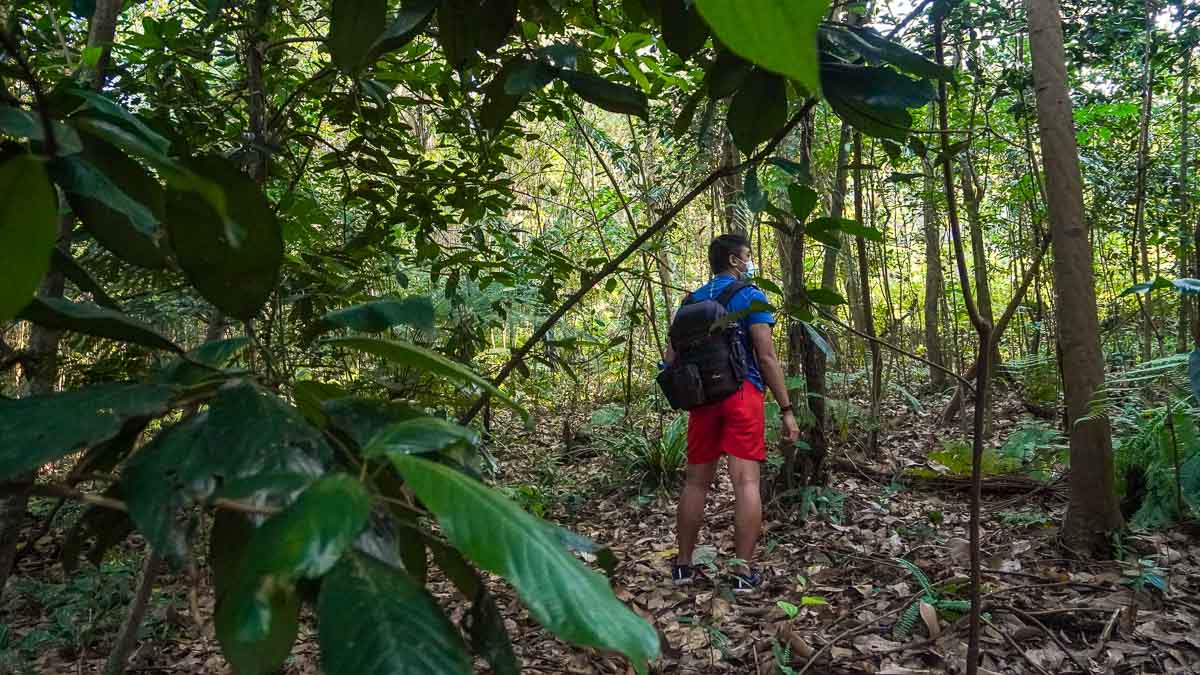 Hiking through jungle to Bukit Batok Hillside Park - Things to do in Singapore