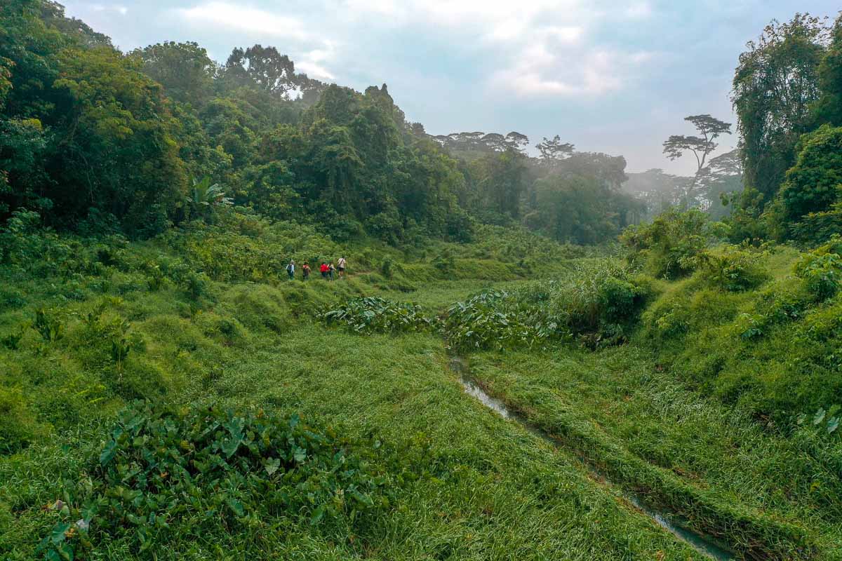 Hikers in Clementi Forest Singapore-1