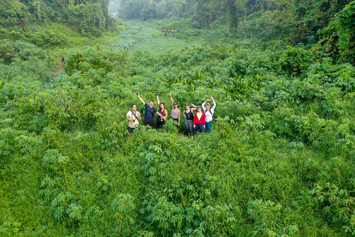 Hiking Clementi Forest in Singapore