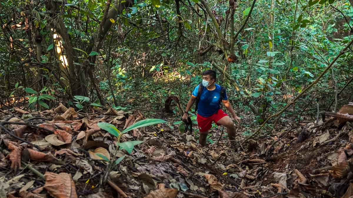 Hiking up steep terrain - Hiking in Singapore