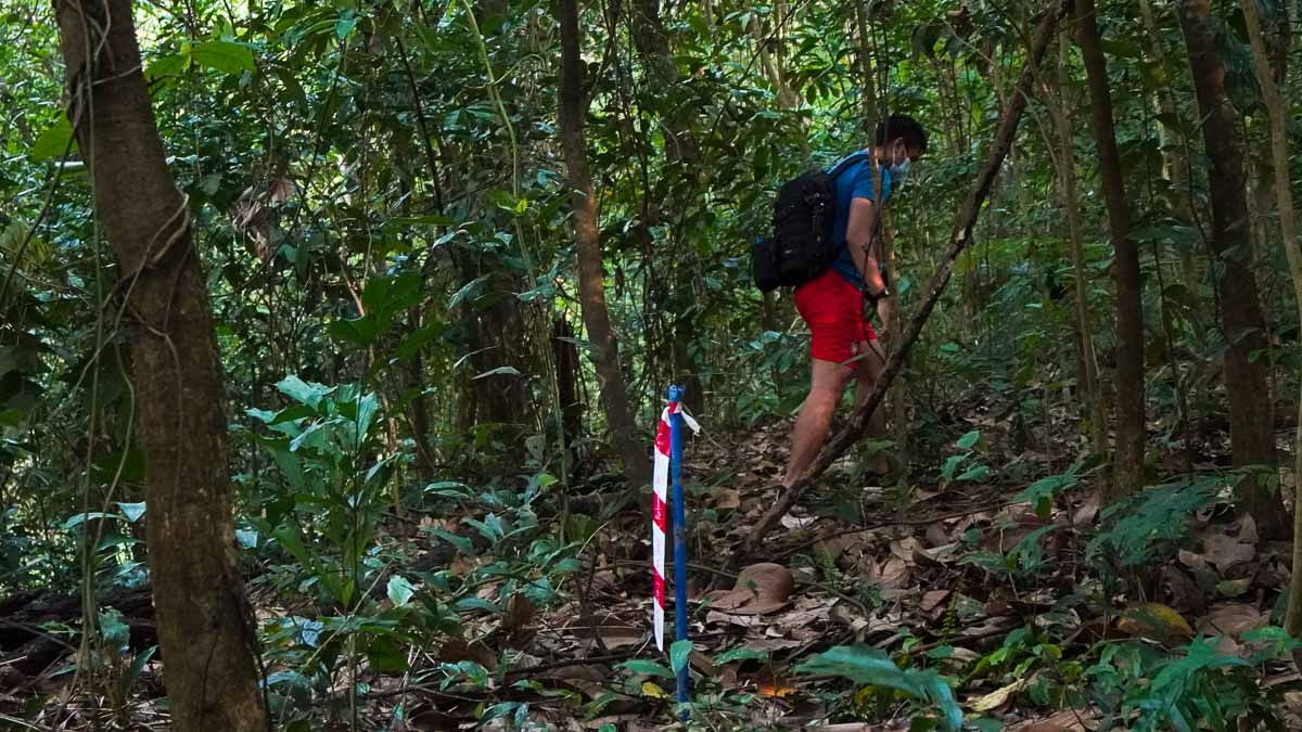 Striped marking en route to Bukit Batok Hillside Park - Hiking in Singapore