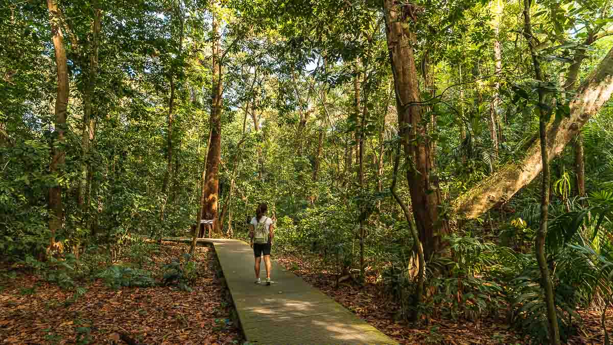 Hiking on the Boardwalk - Windsor Nature Park